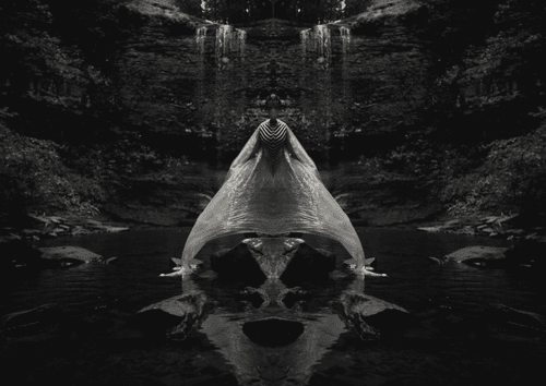 Photo #15
