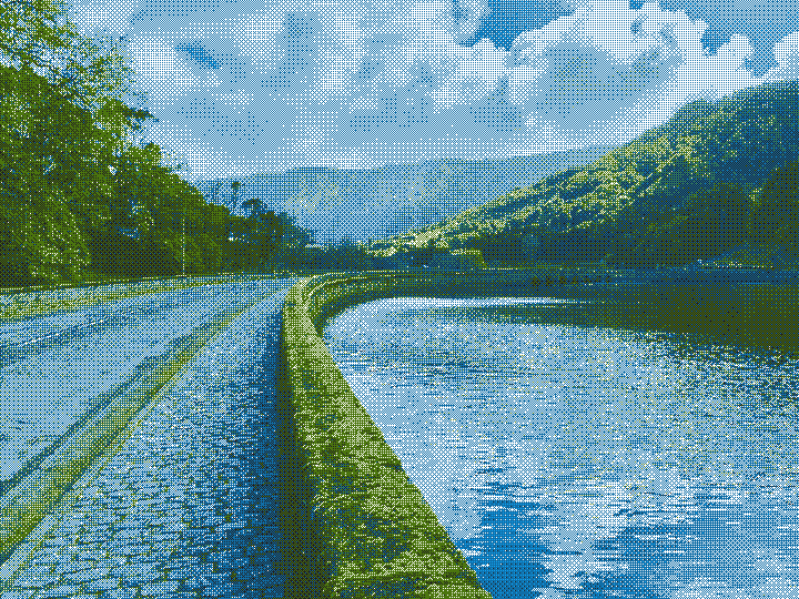 Reflections of Nature