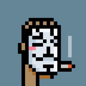 Anonymous Punkz #9463