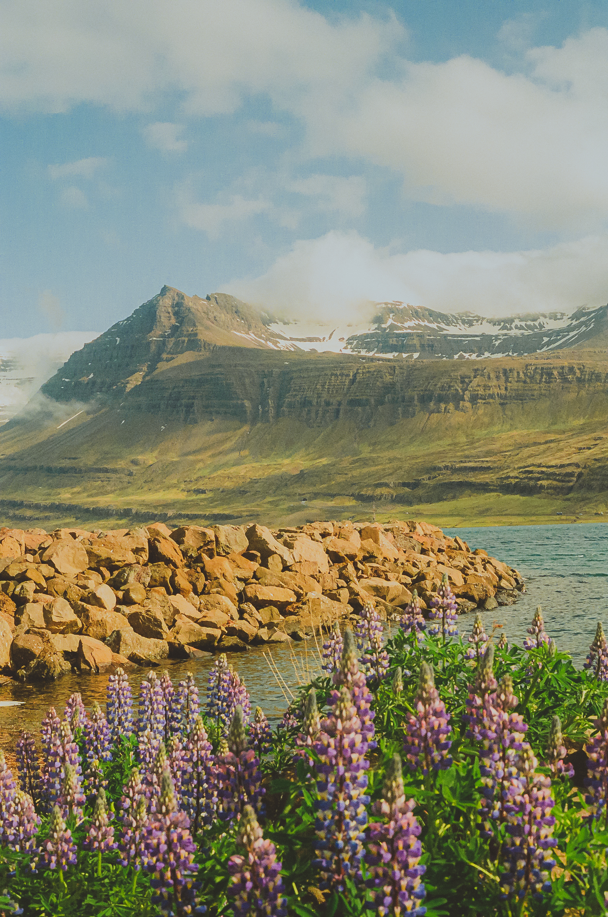Flowers By The Sea
