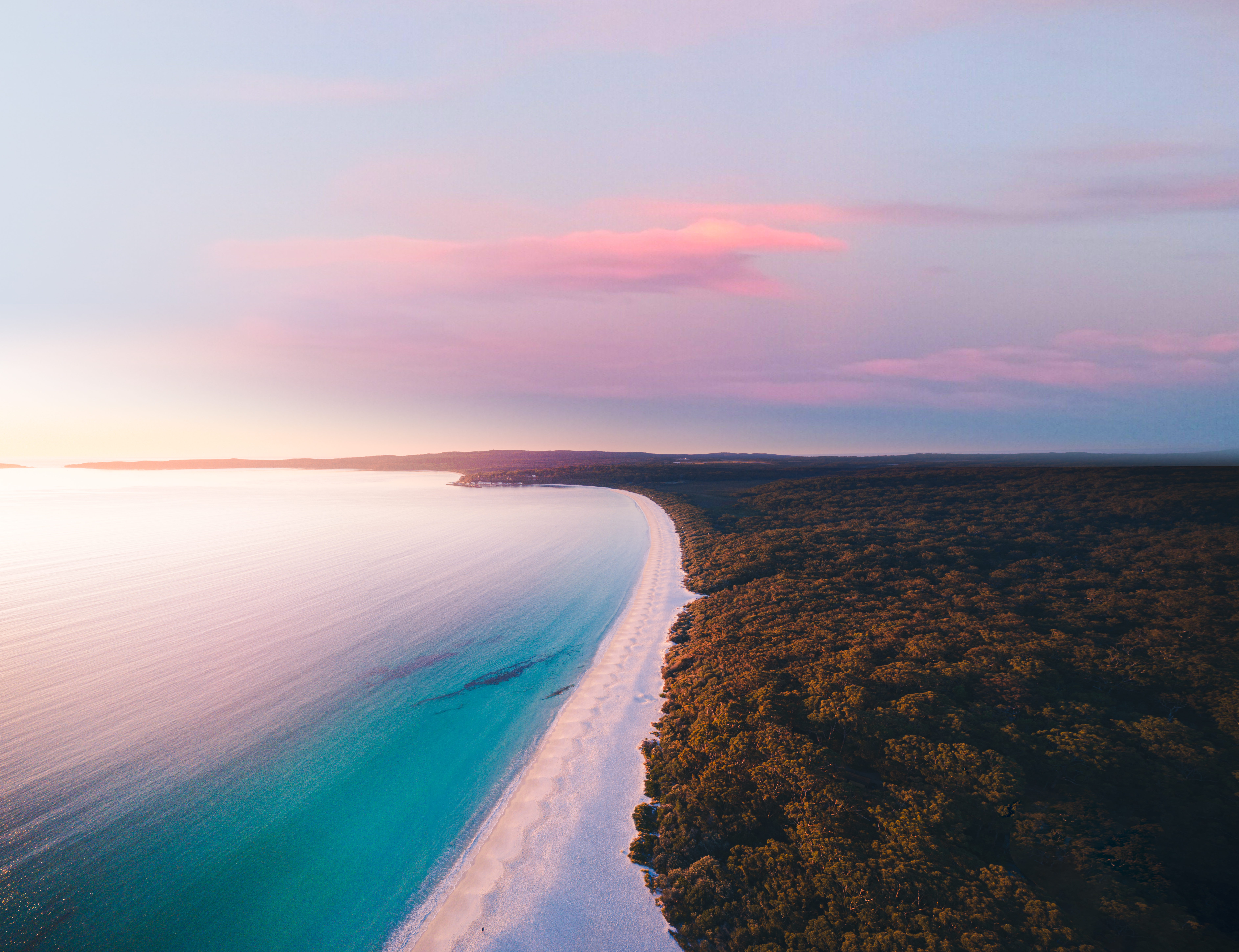 The Bay of Plenty #5/5