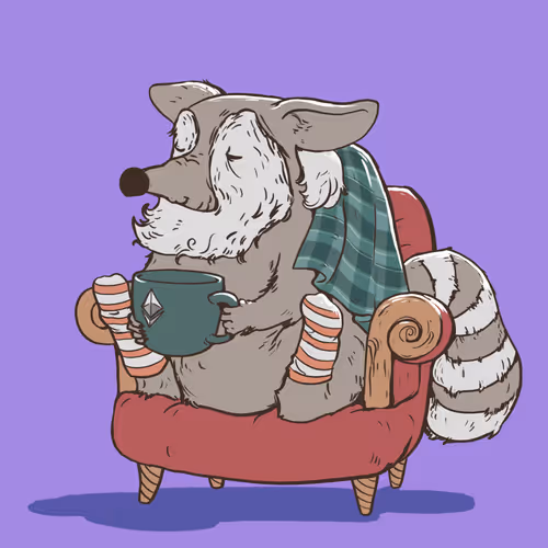 06 Old Wise Raccoon
