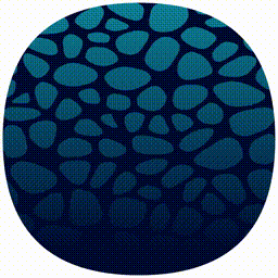 Low Tide #86