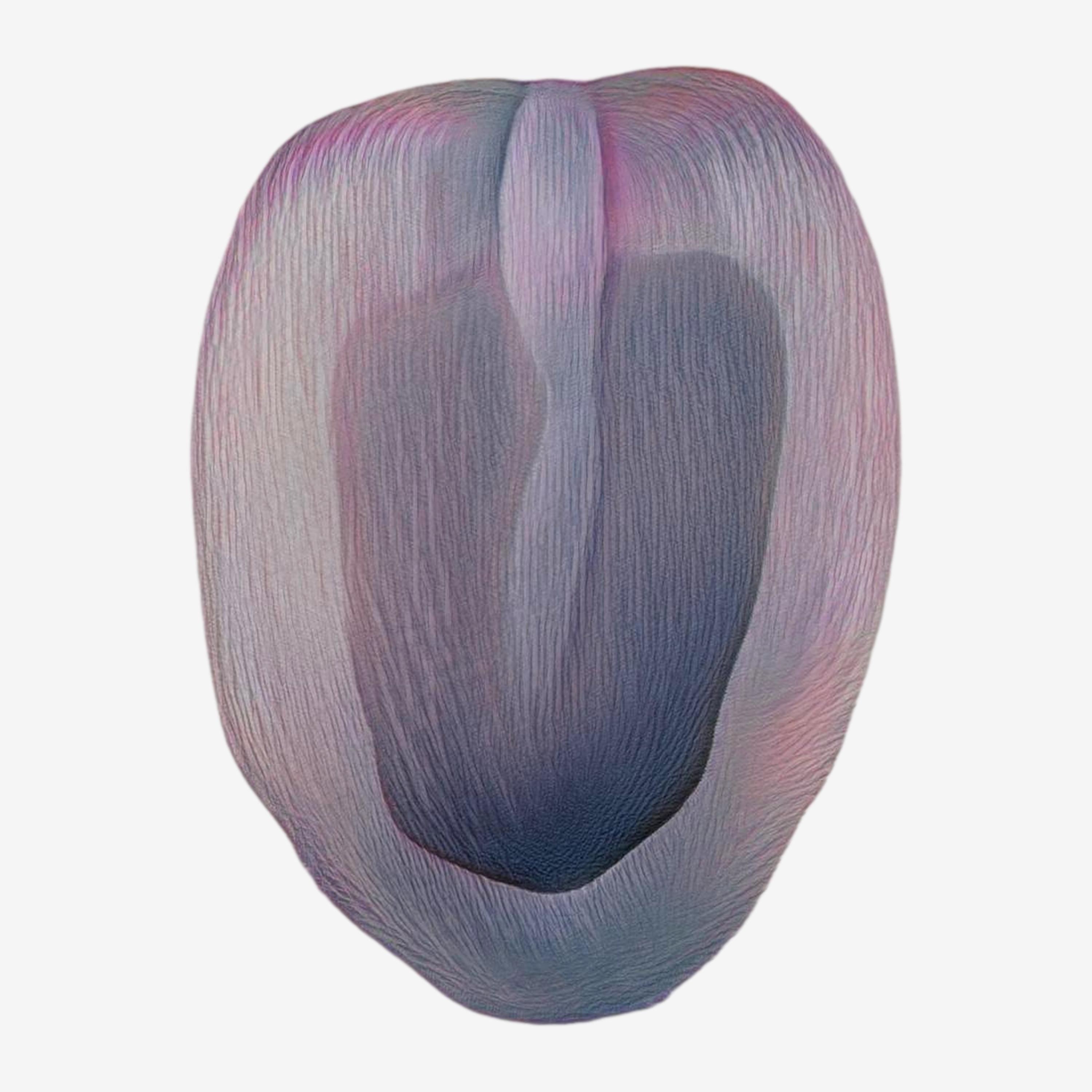 Whorl #7 “Chrysalis”