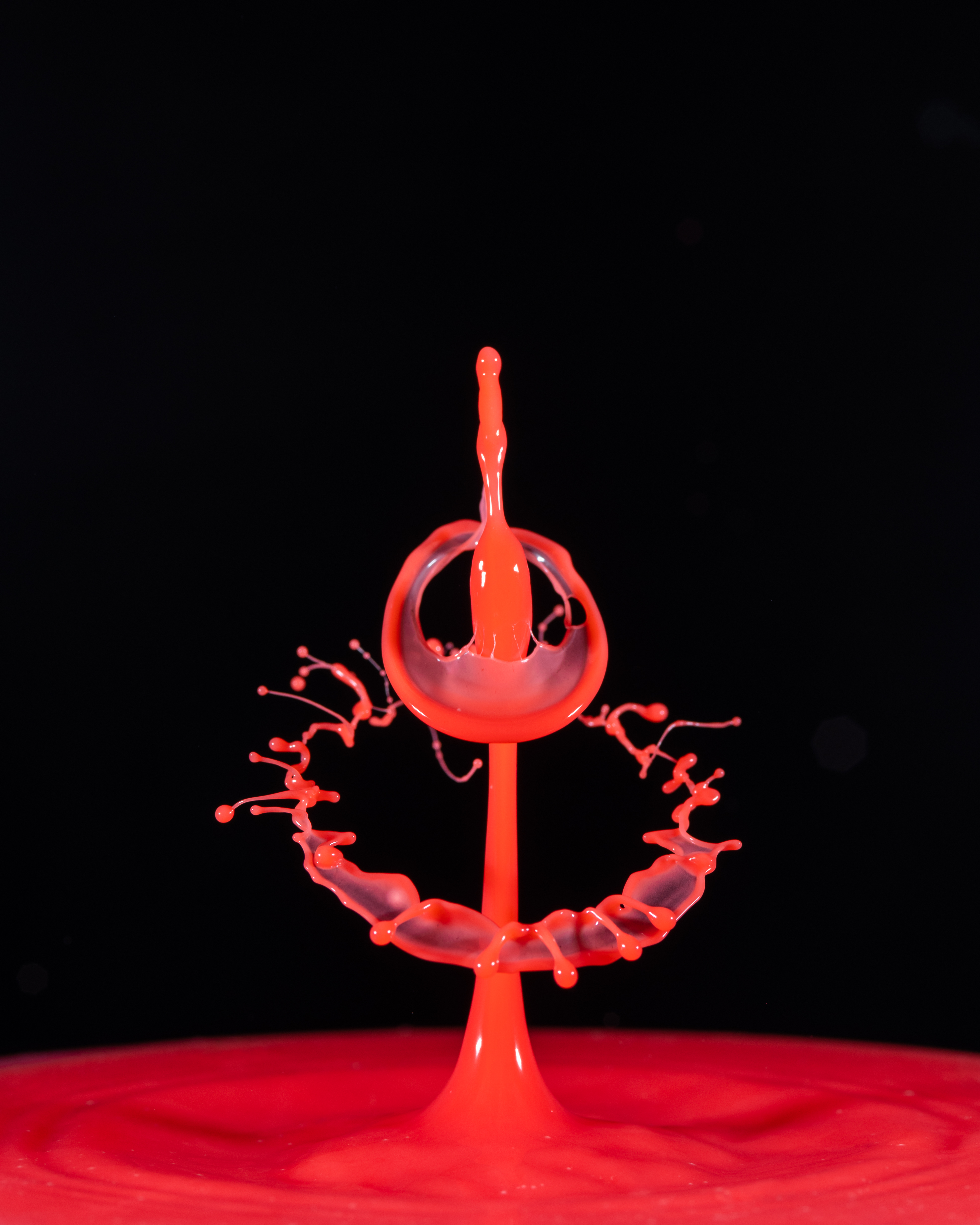 Splash of Colour #33