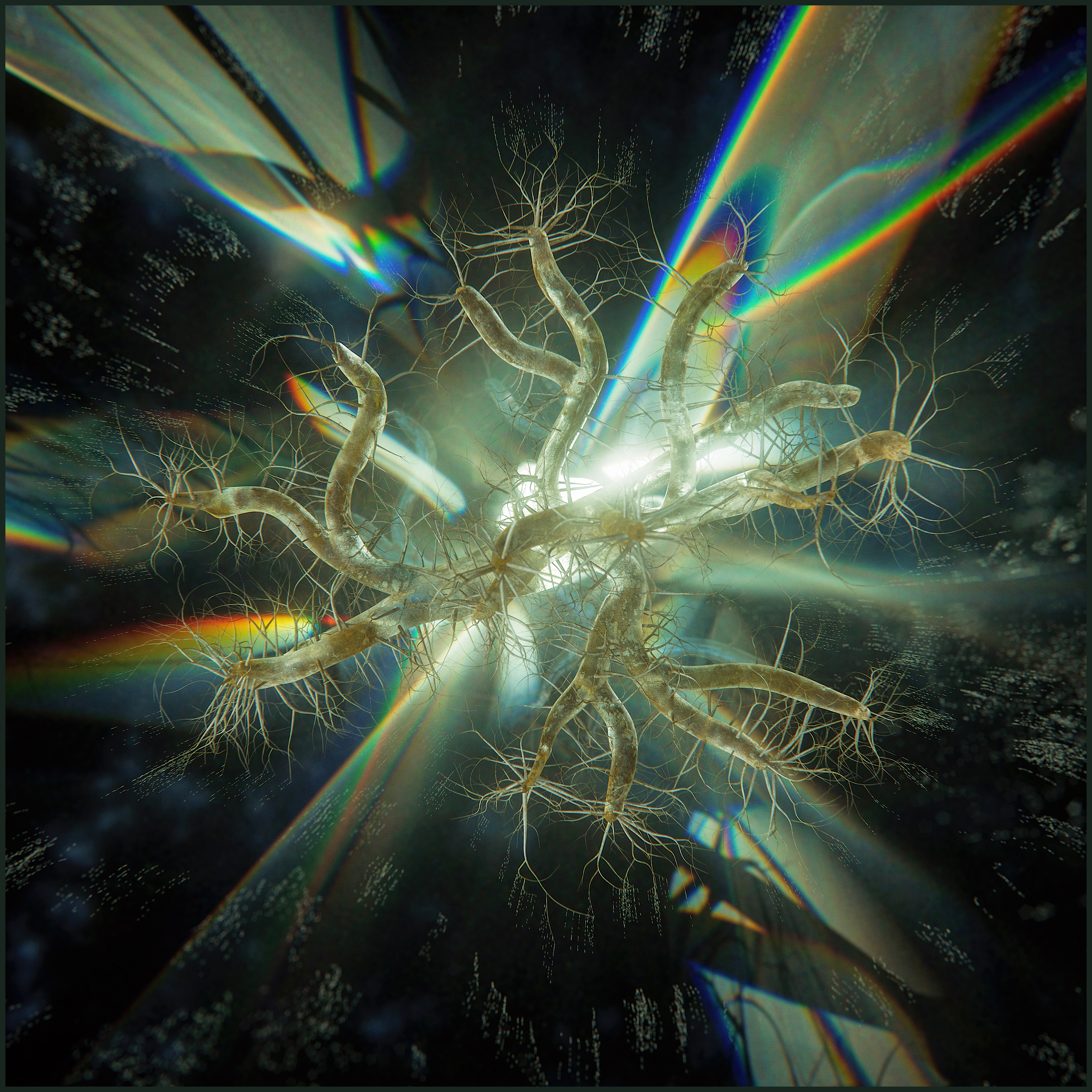 BLISSFUL CAUSTIC PORTAL 34