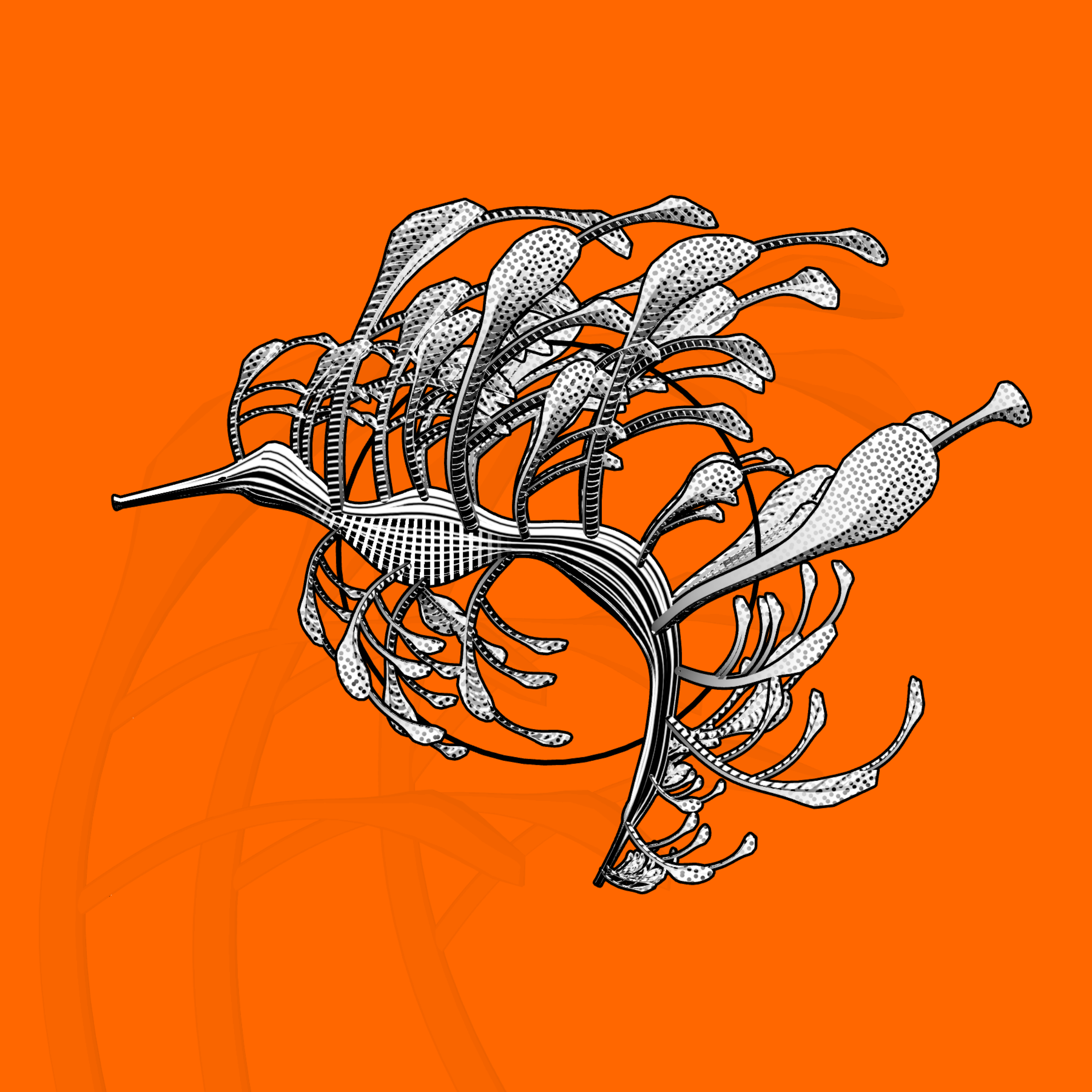Seadragons #337