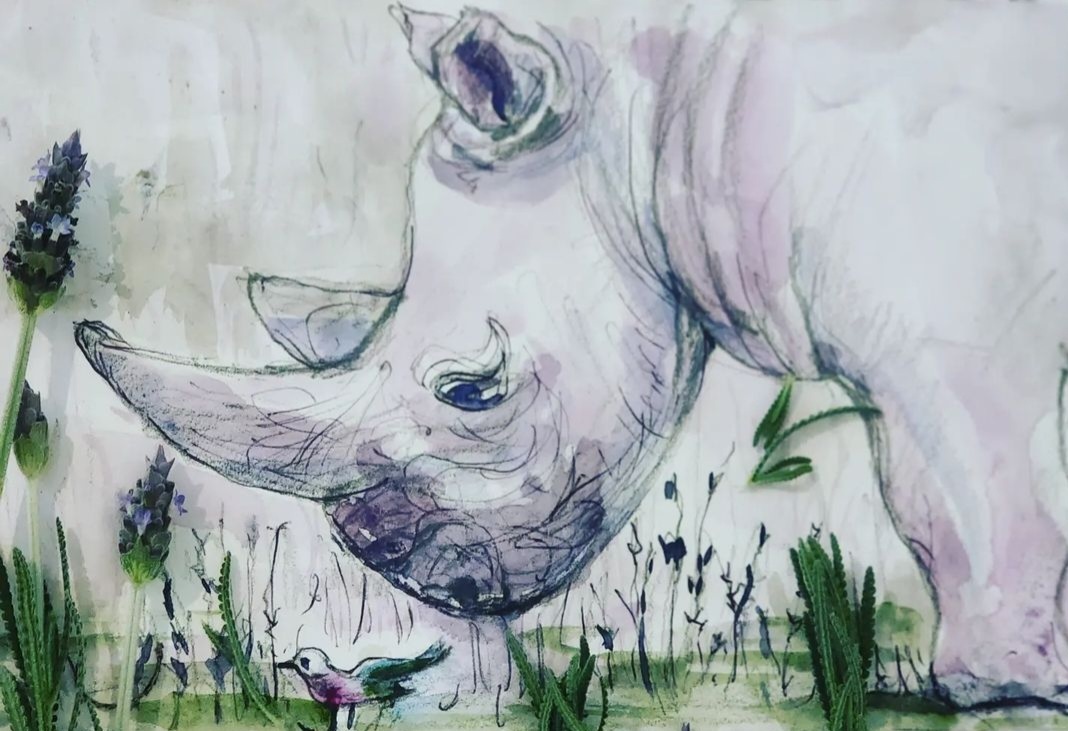 Rhinoceros