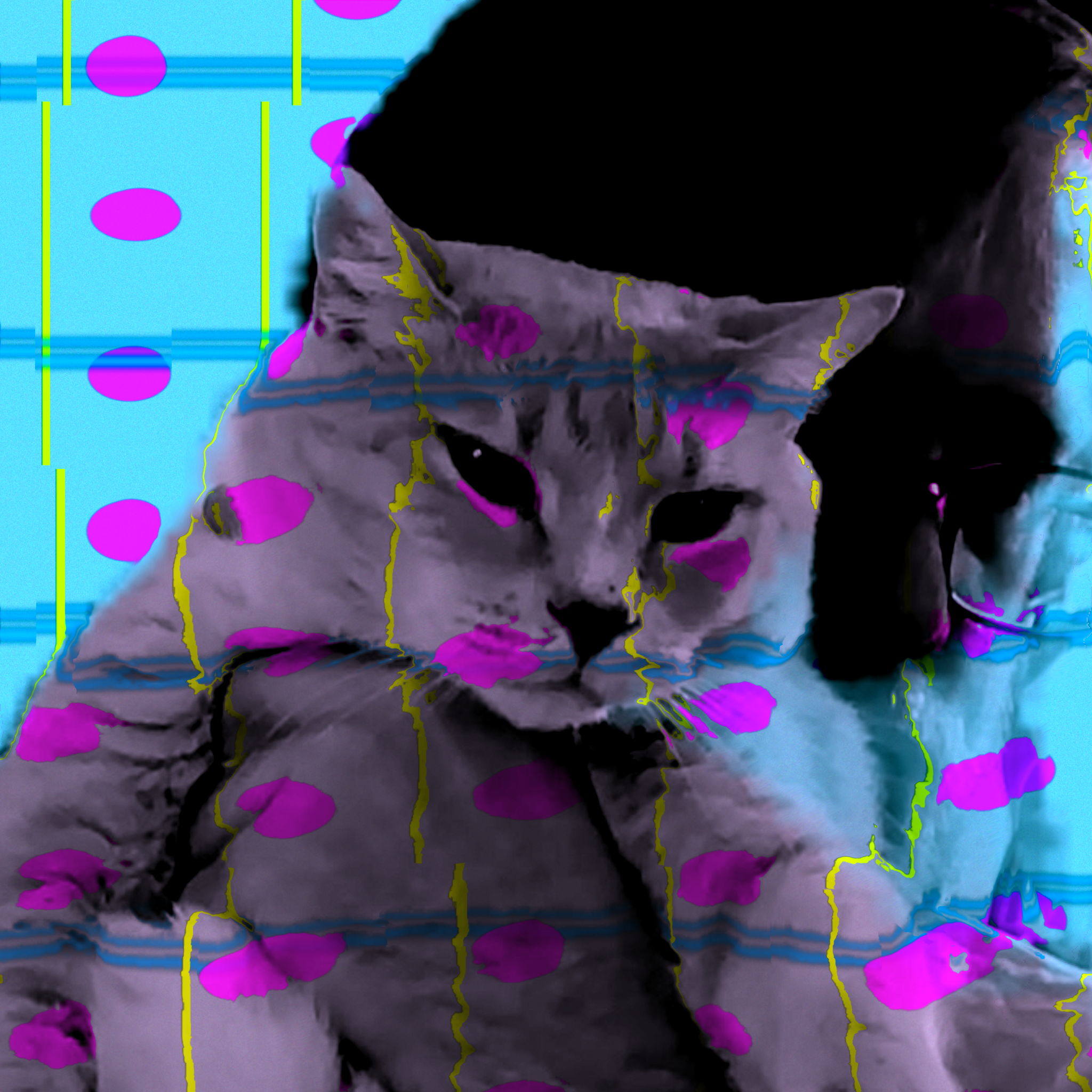 heartsleeves: portrait #005