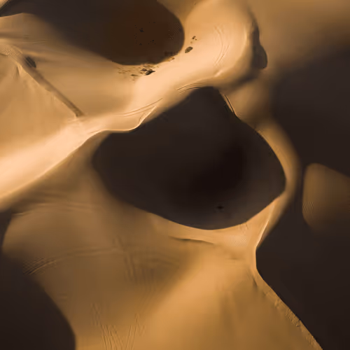 Desert Shadows