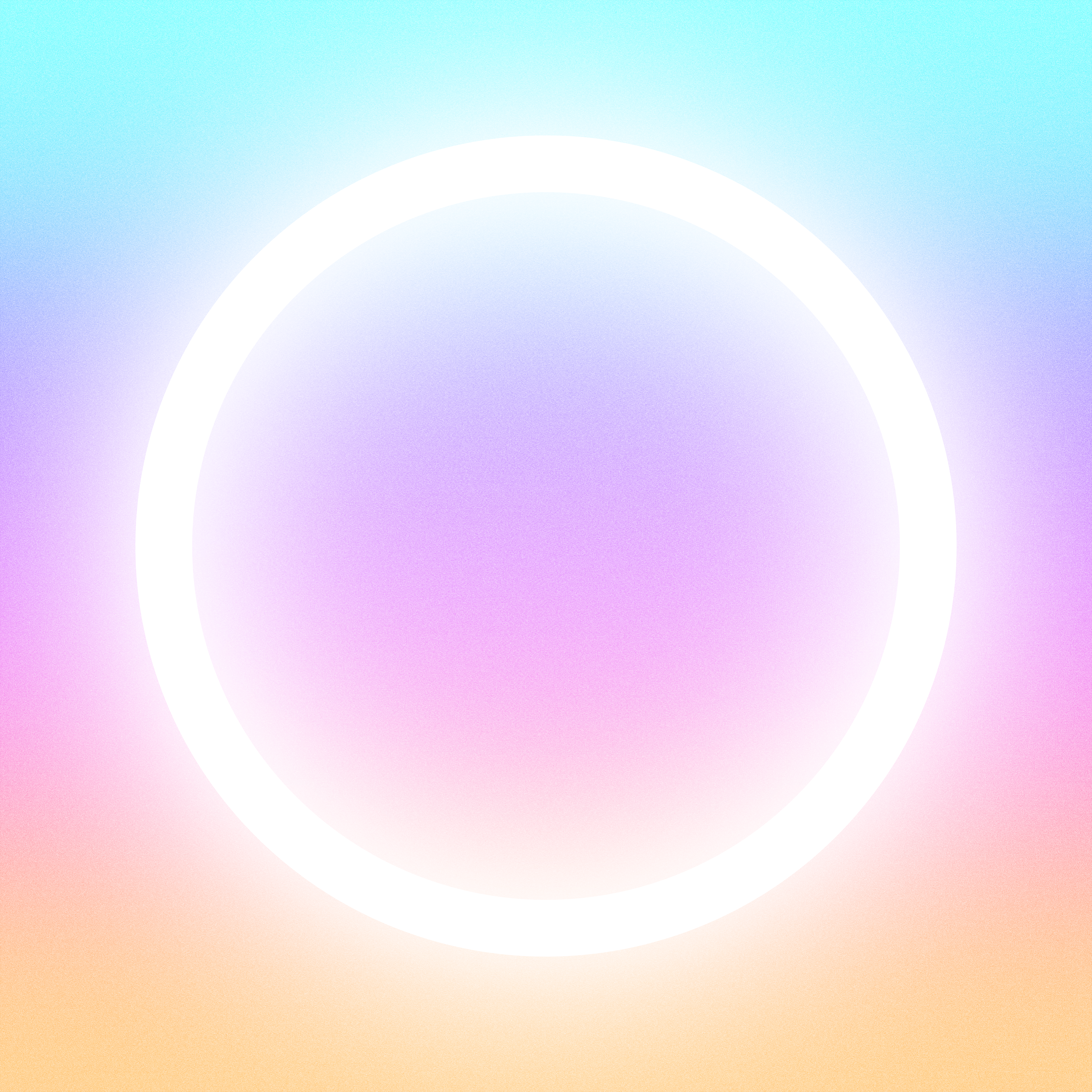 with the light 11