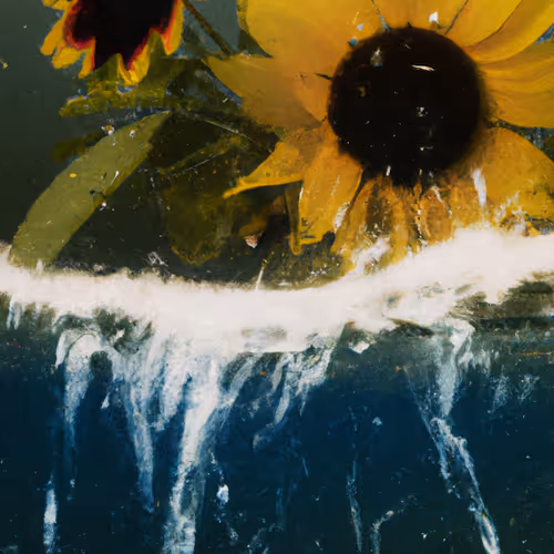 Tsunflower Chaos #149