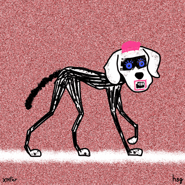 dog #169