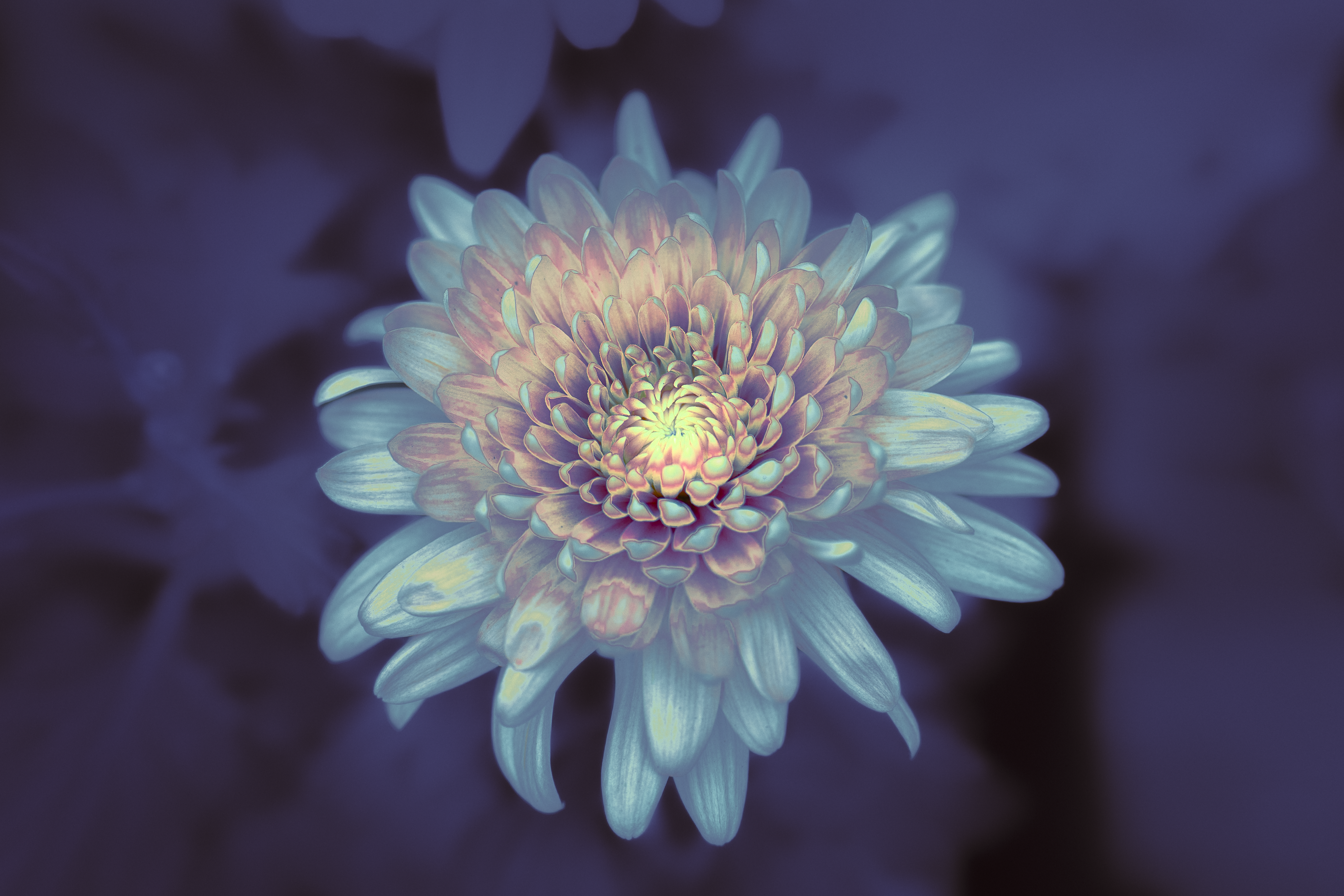EQUINOX