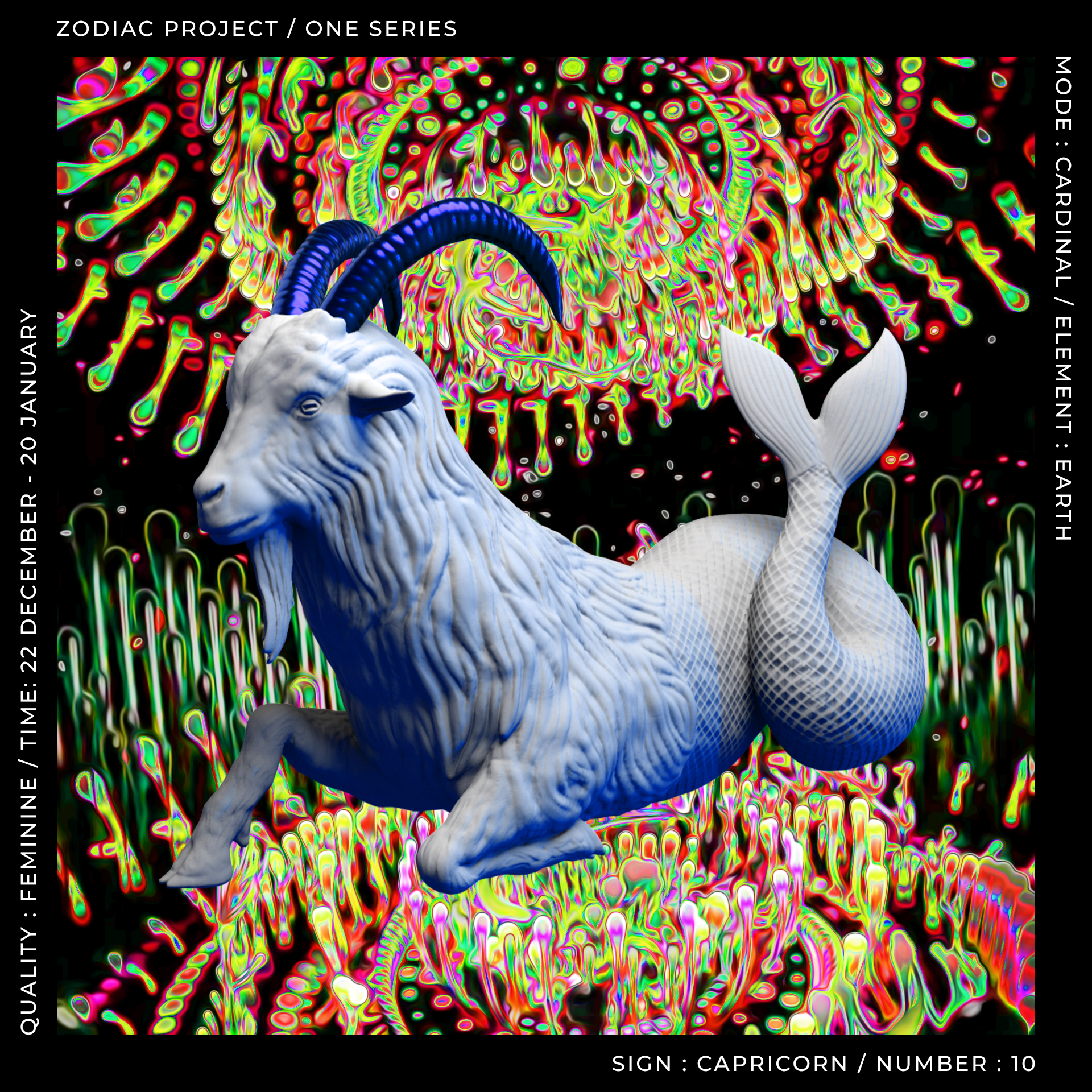 ZODIAC PROJECT #1737