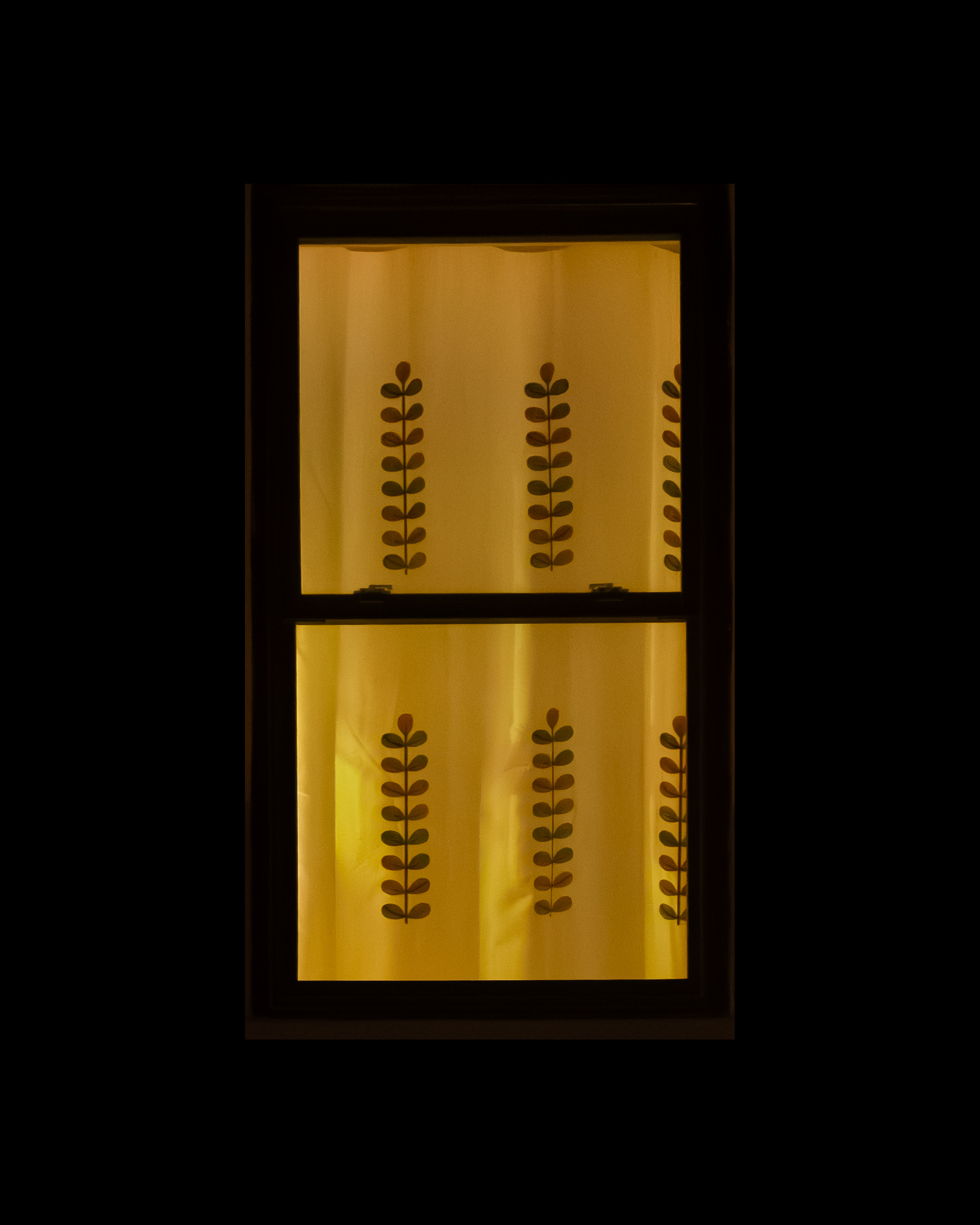 WINDOW 216