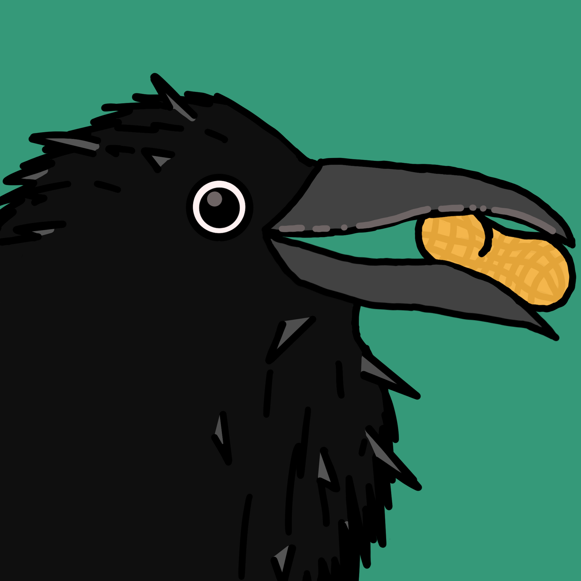 Crow Friends #669