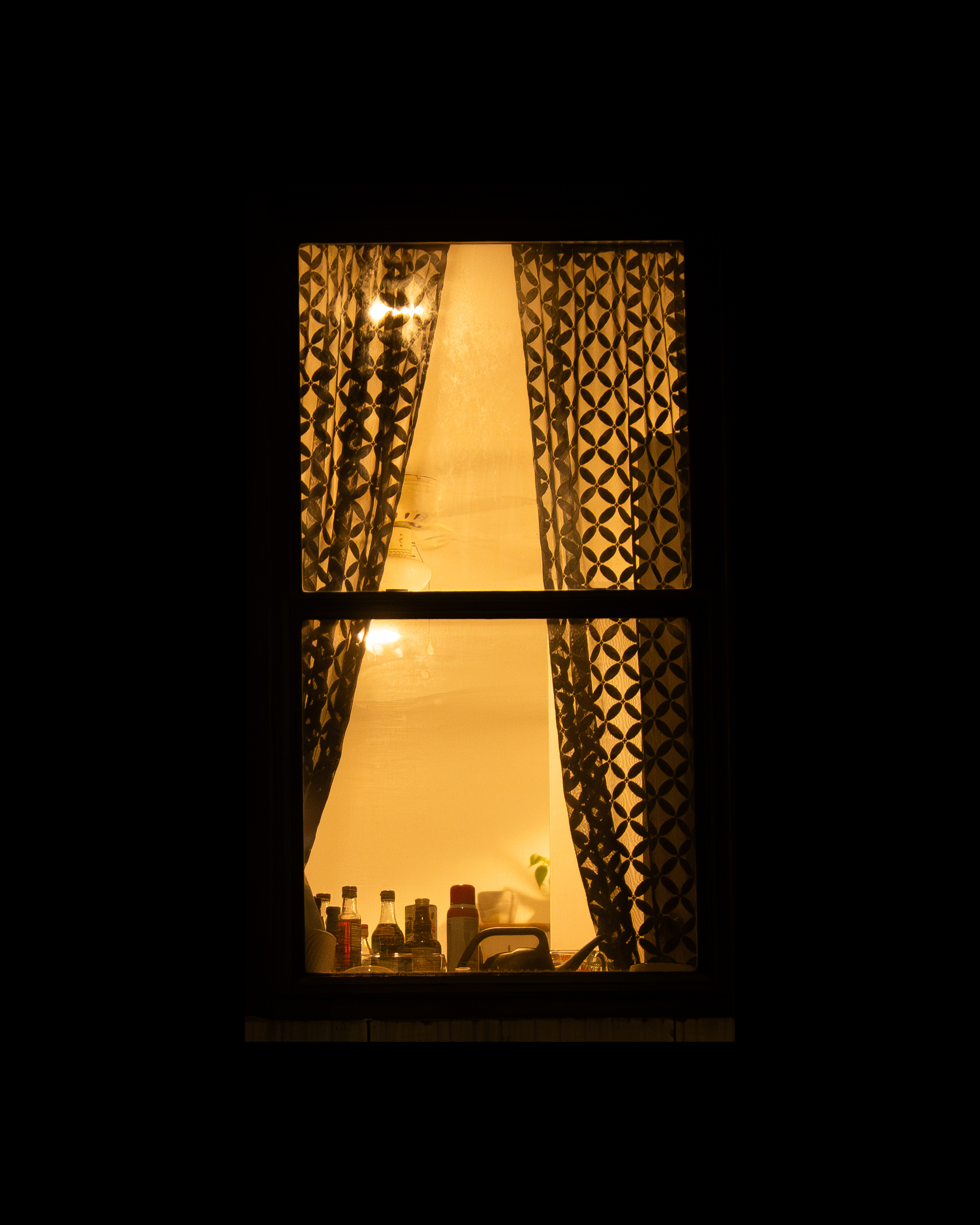 WINDOW 243