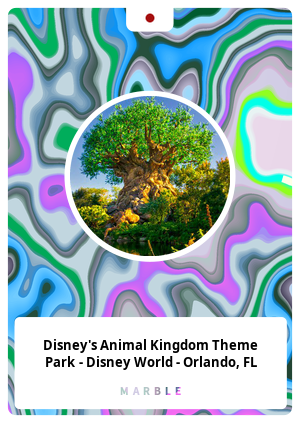 Disney's Animal Kingdom Theme Park - Disney World - Orlando, FL
