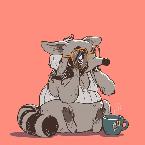 05 Midlife Raccoon