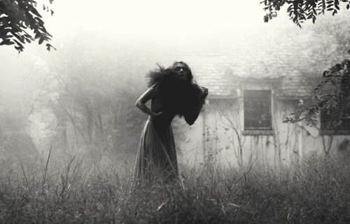 Photo #35