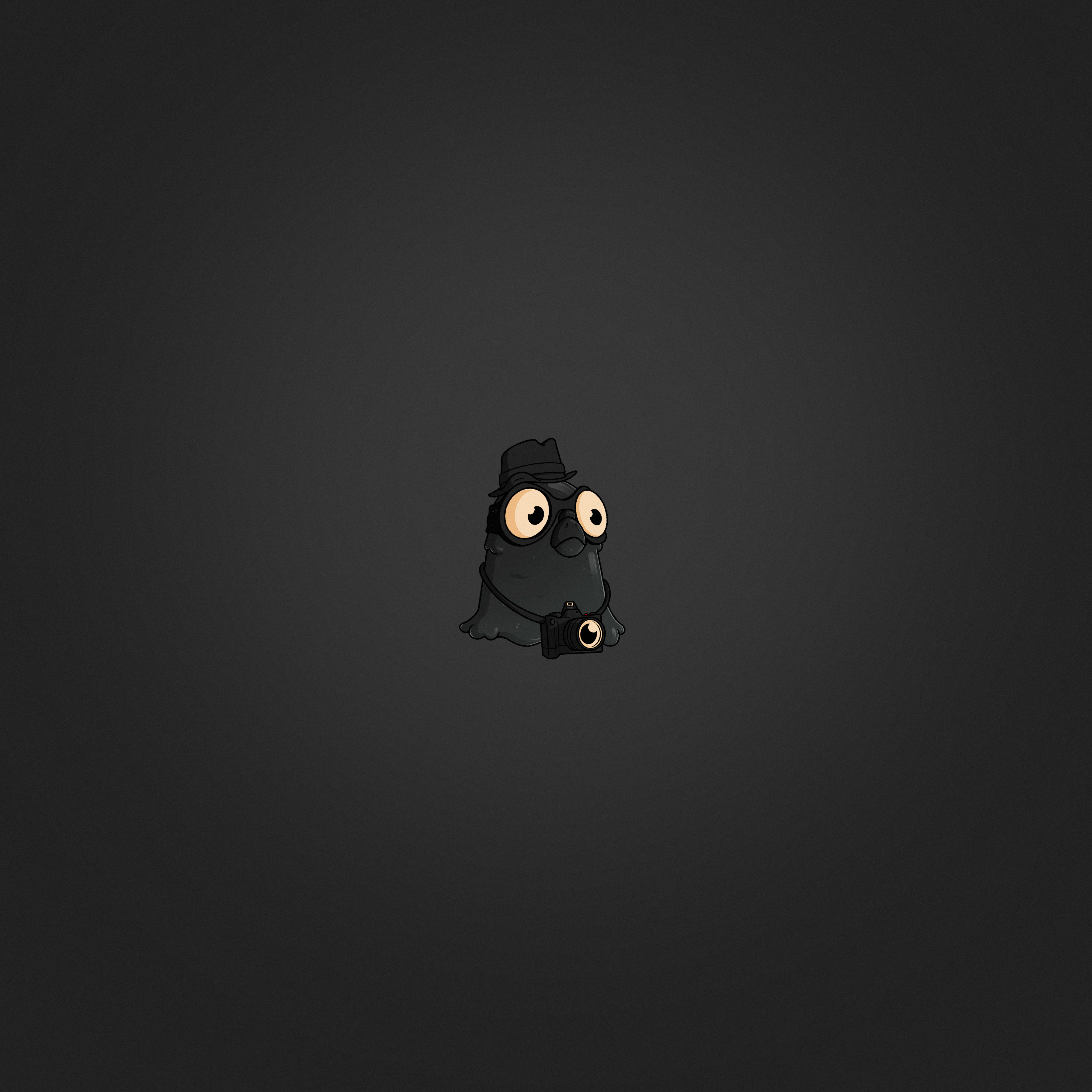 Squabble Heads: Black Pidgies