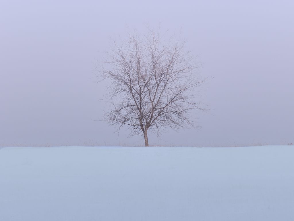 Snow