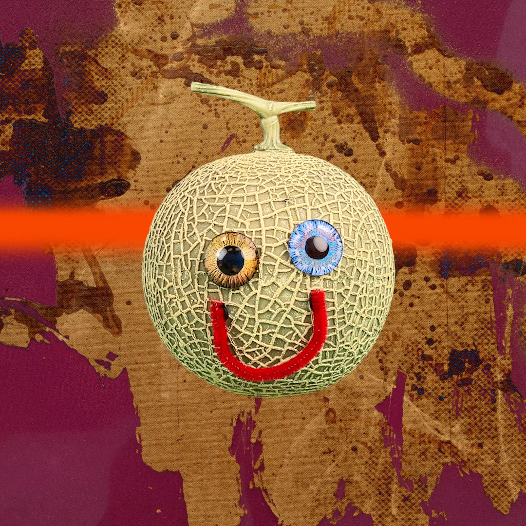 PFP Study II #893