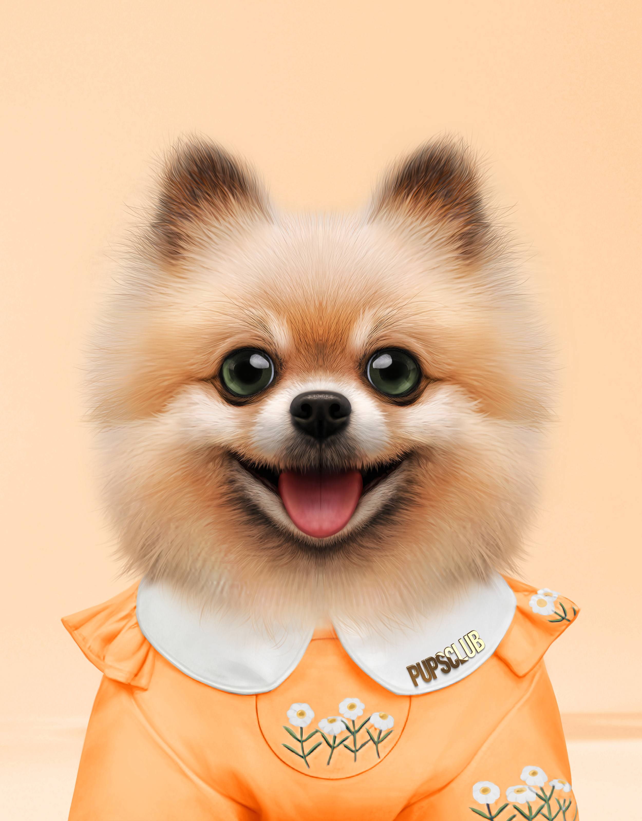 Pup #8248