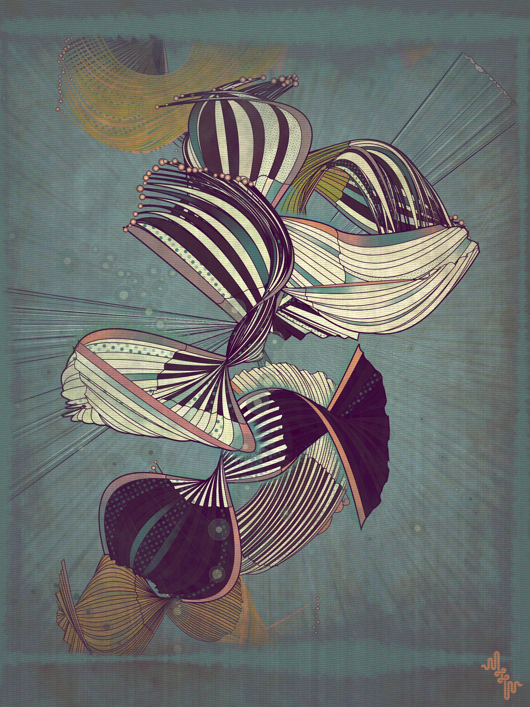 Velum #29