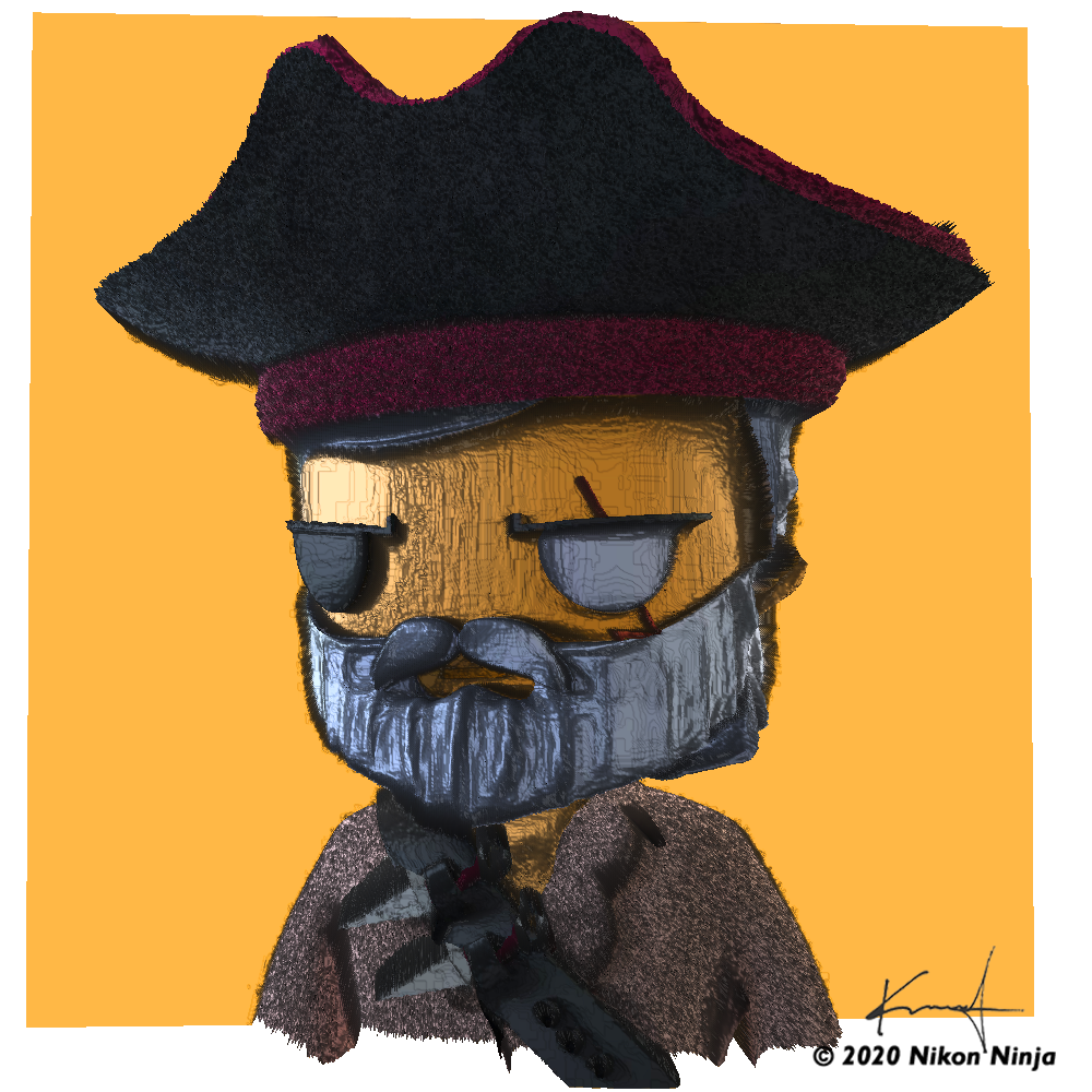 Depth Mapped Pirate 497 alt 