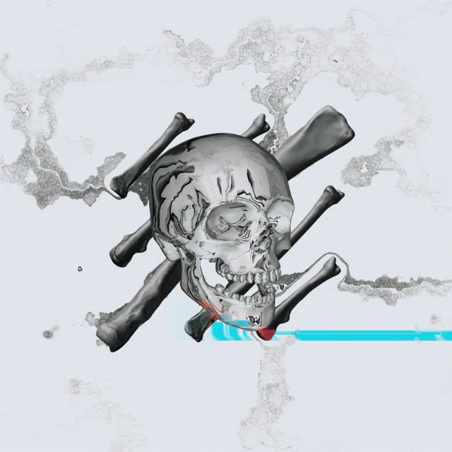 Skull&Bones Decal