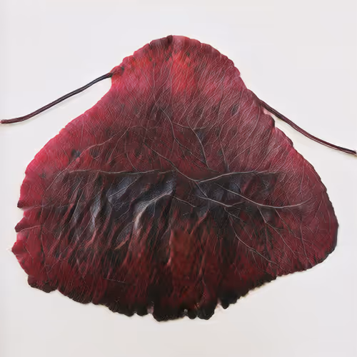 Leaves of Manifold, of Red and Gold #54