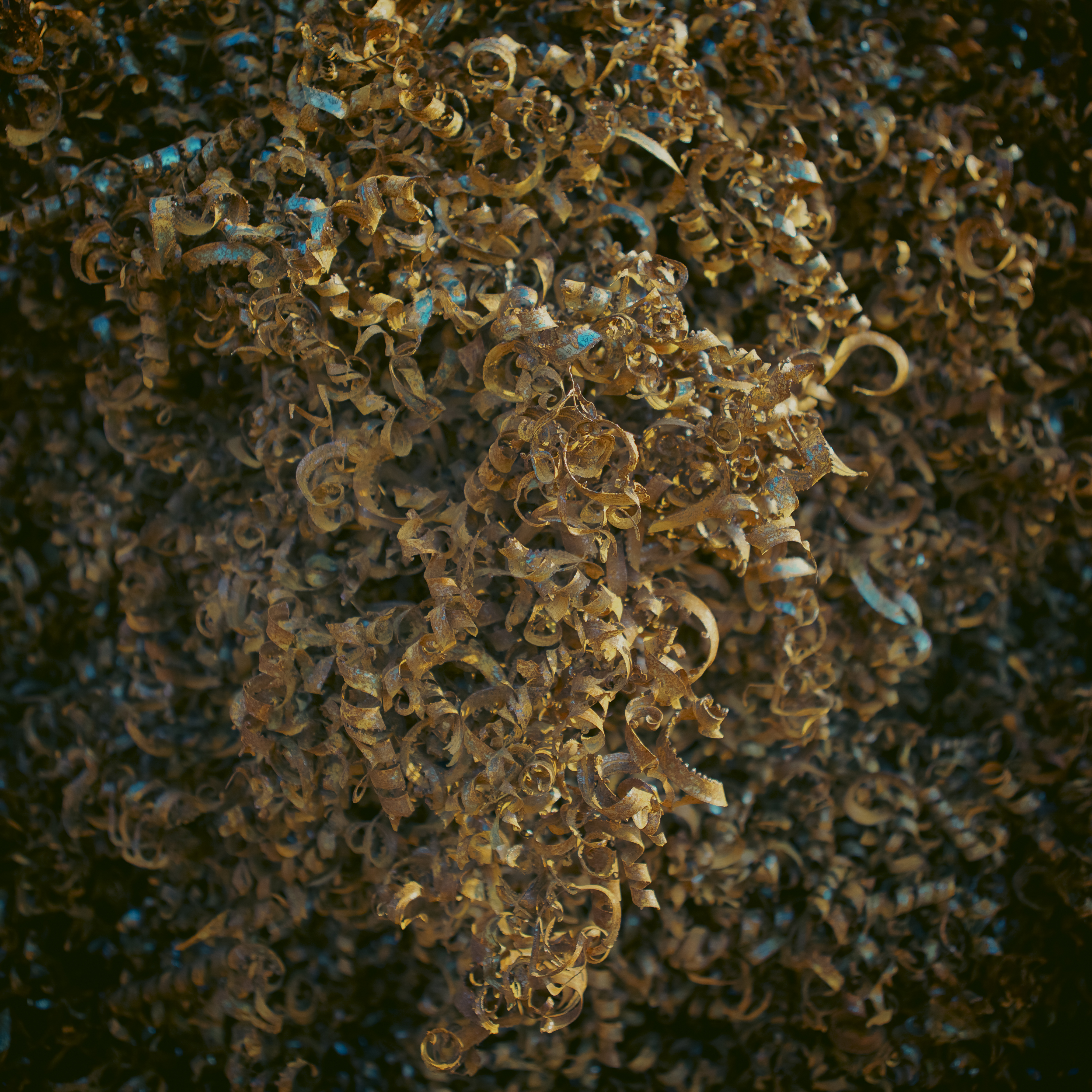 CACHIVACHES #6