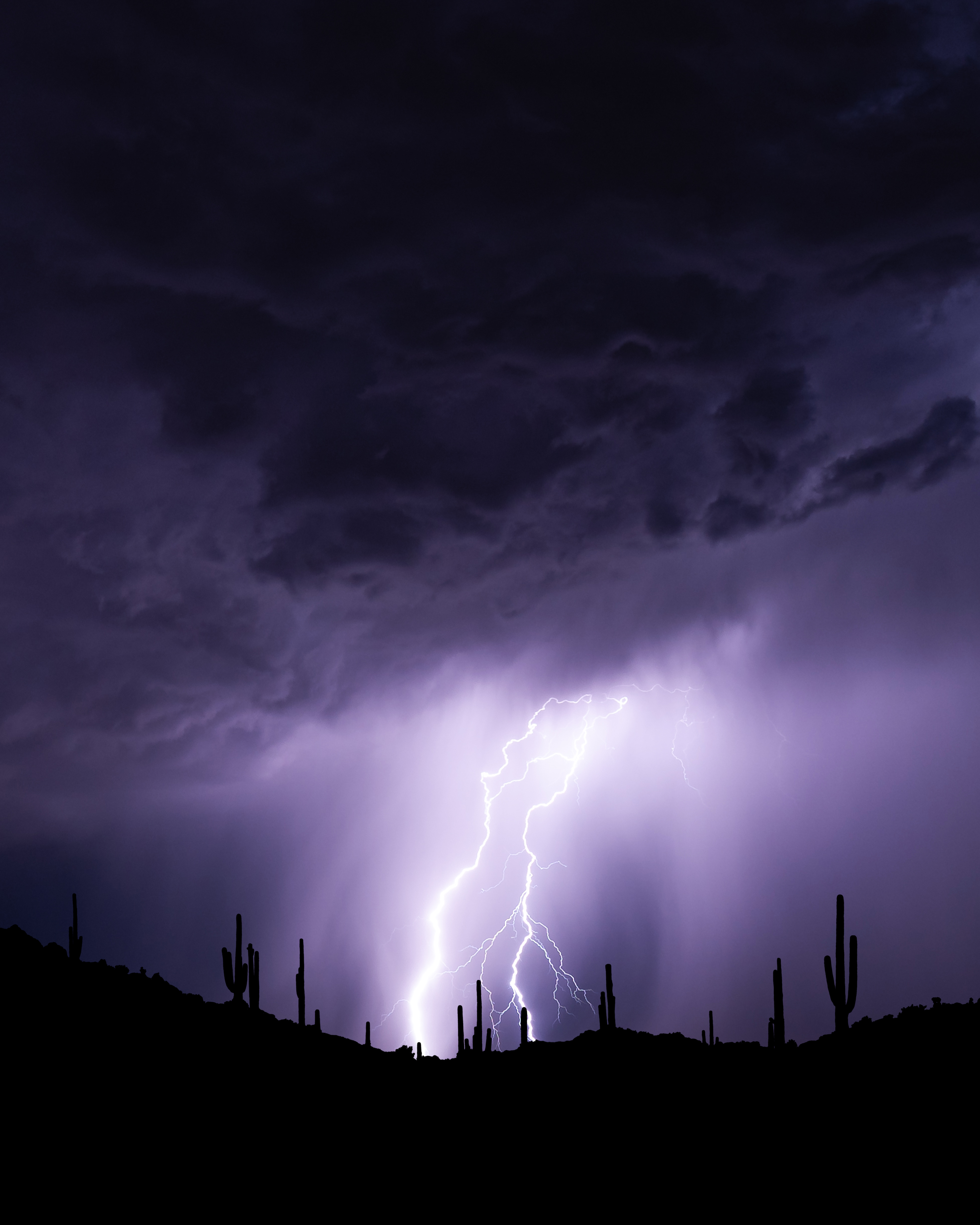 Purple Rain