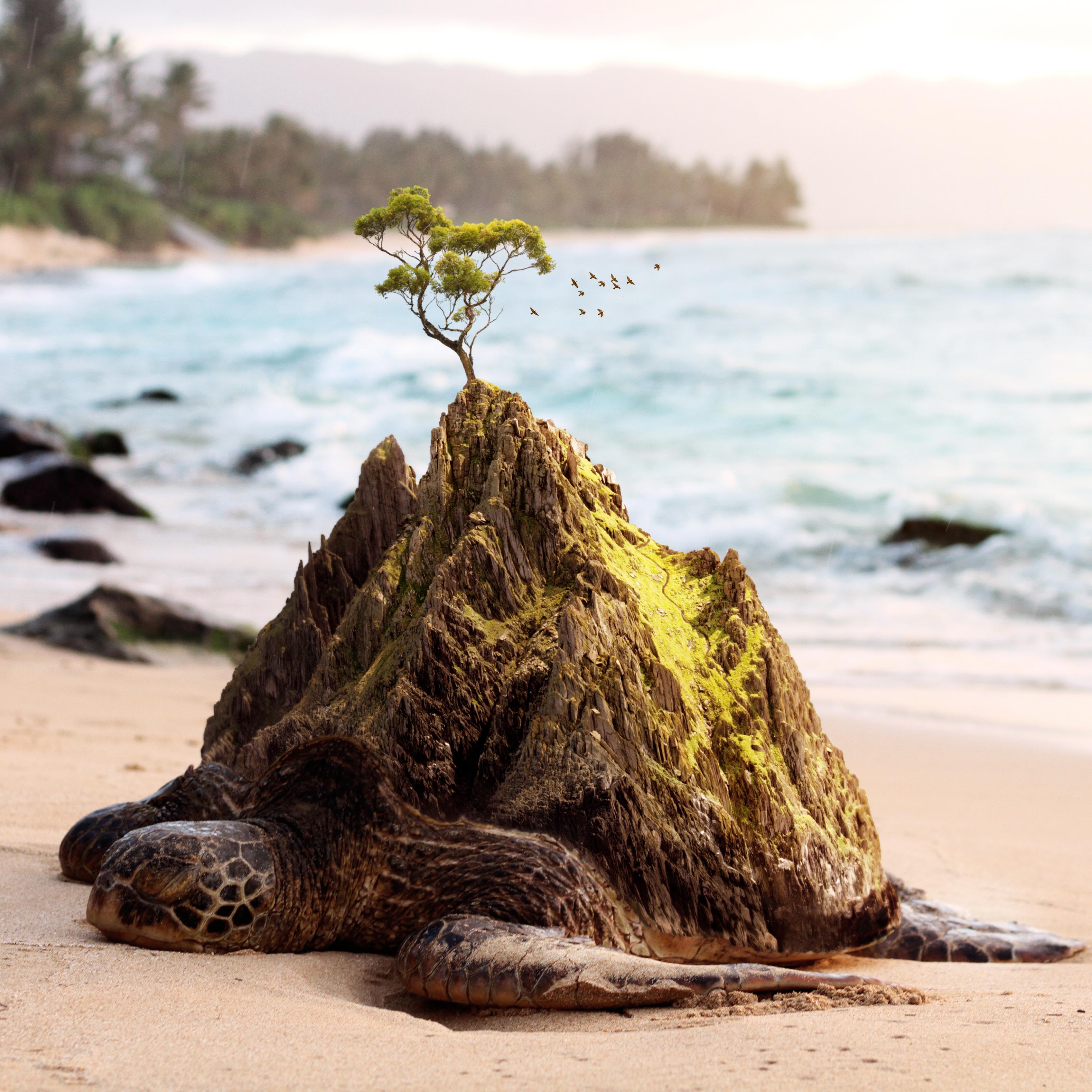 Turtle Island #11