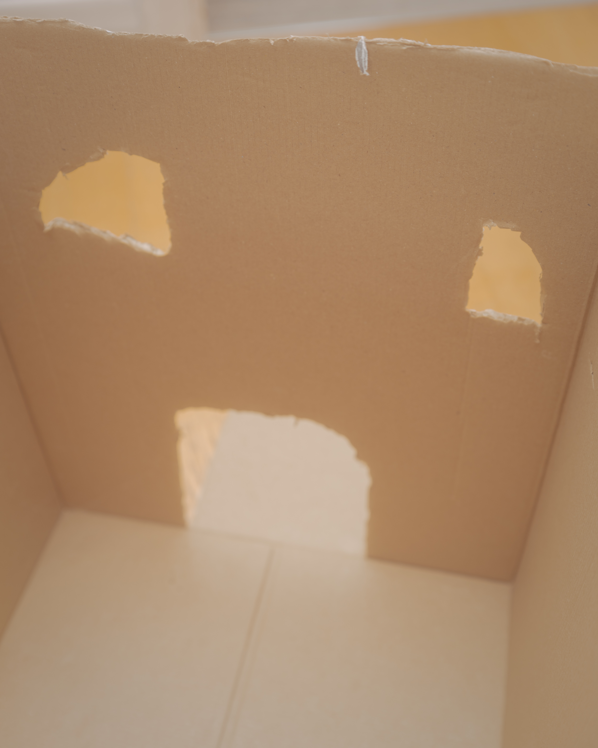 PhotoFilePhrens #14