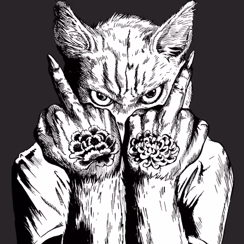 舐猫