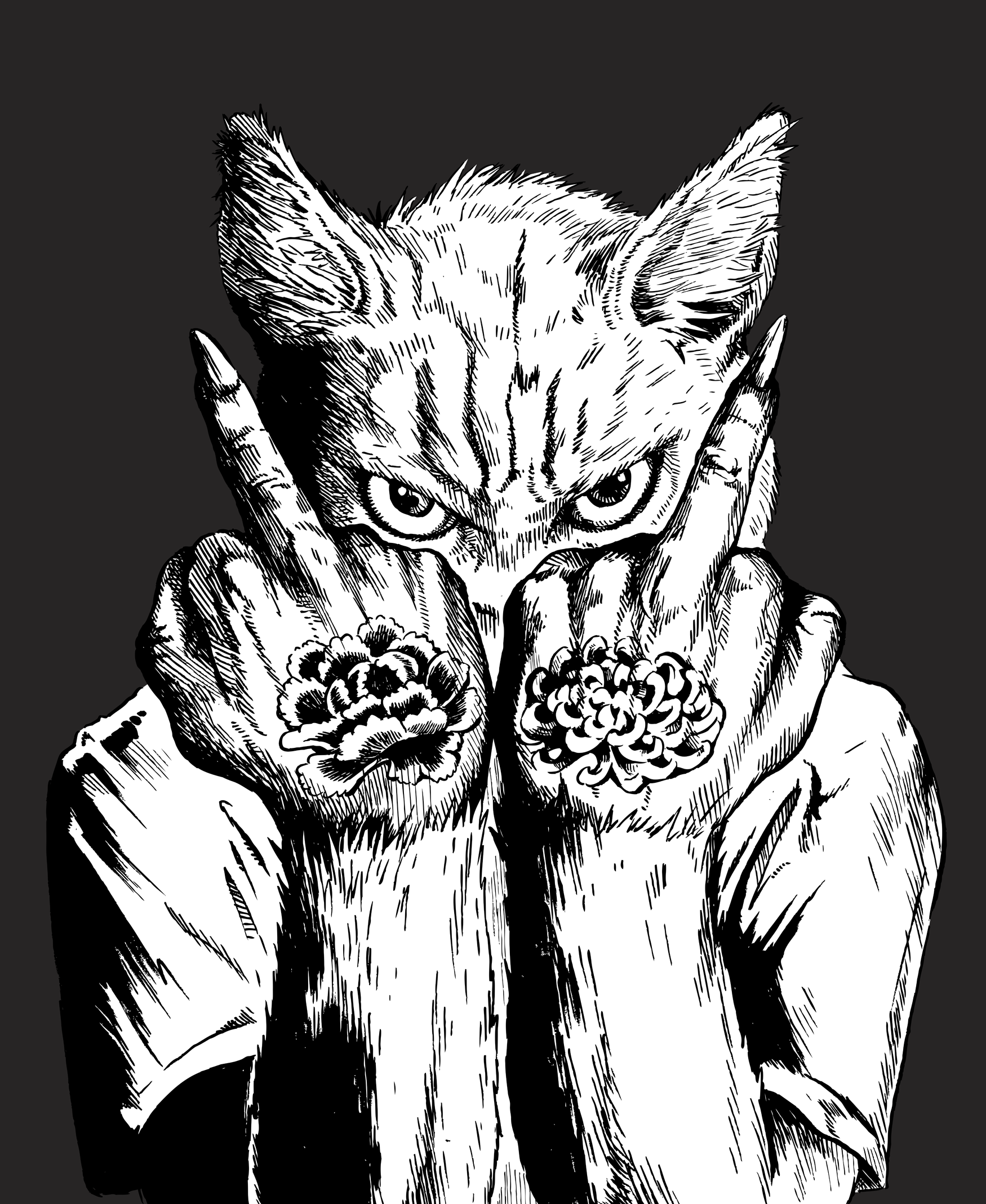 舐猫