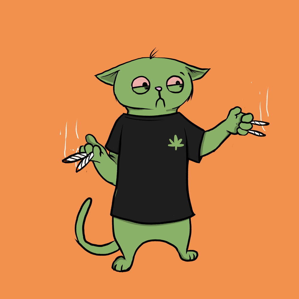 Blazed Cat #3526