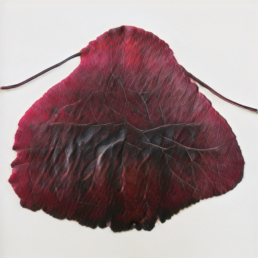 Leaves of Manifold, of Red and Gold #88
