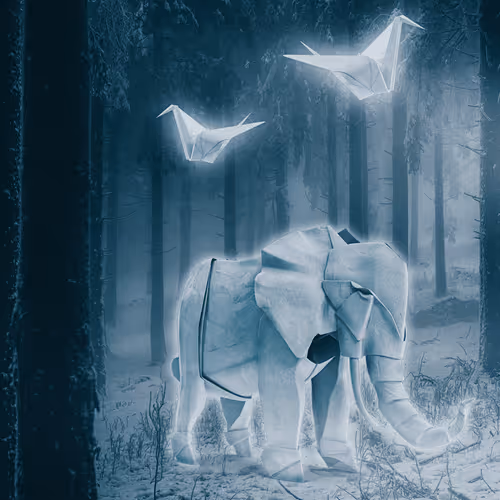Magical Forest