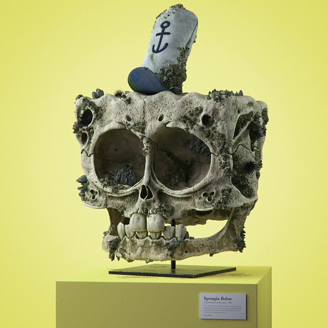 Spongia Bobaæ #45/82