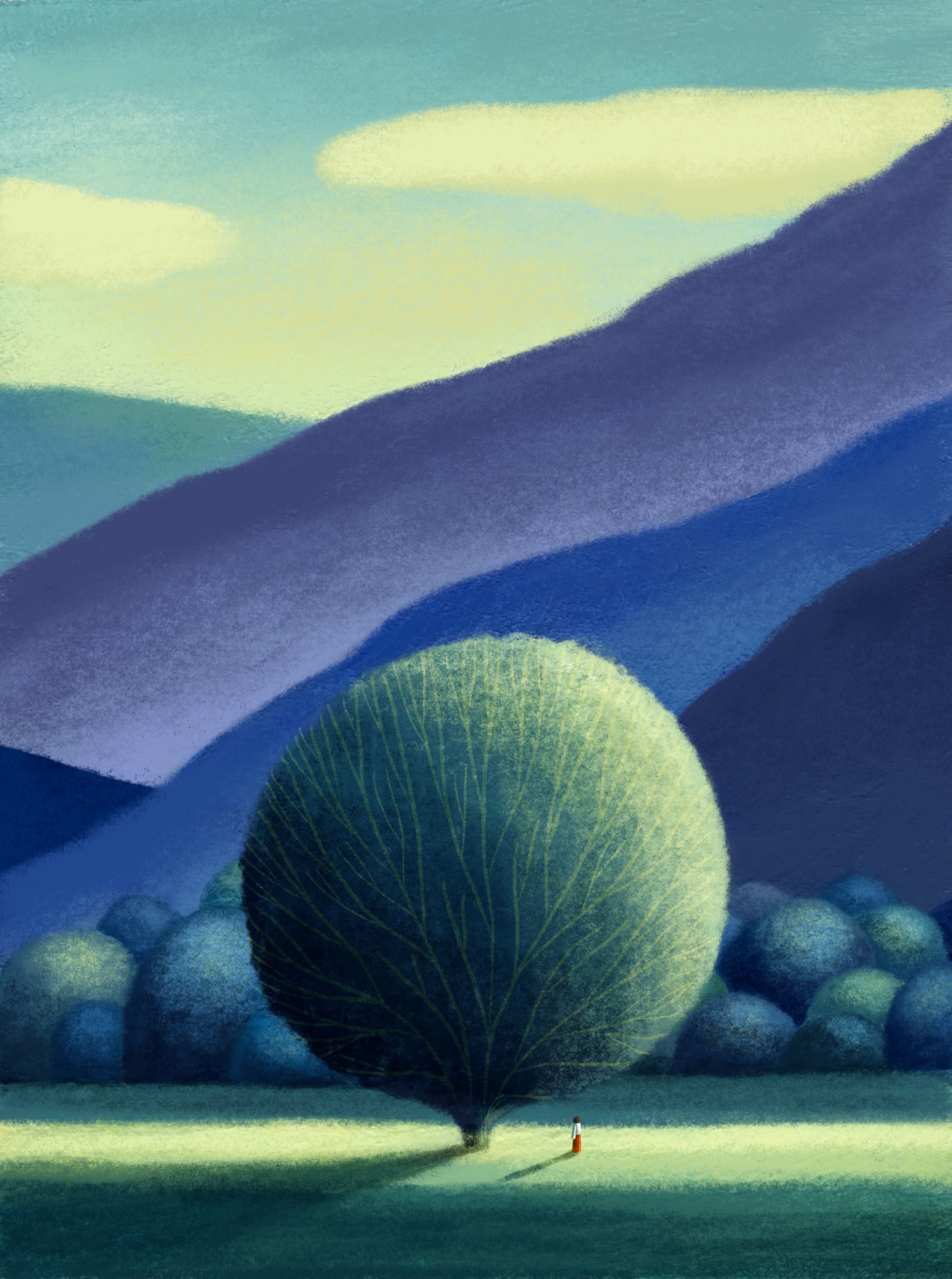 #54 | Embrace