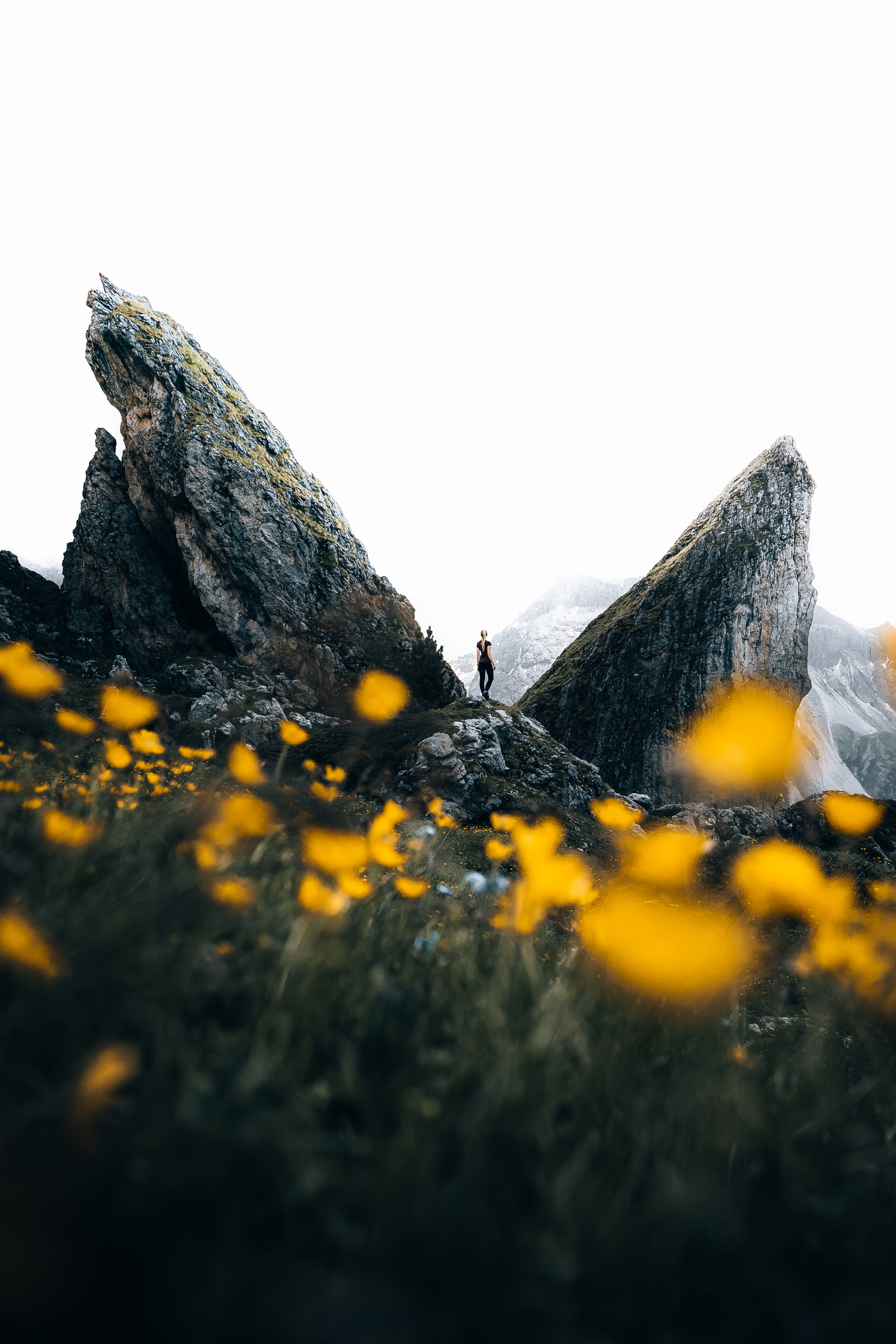 dolomite butterfly