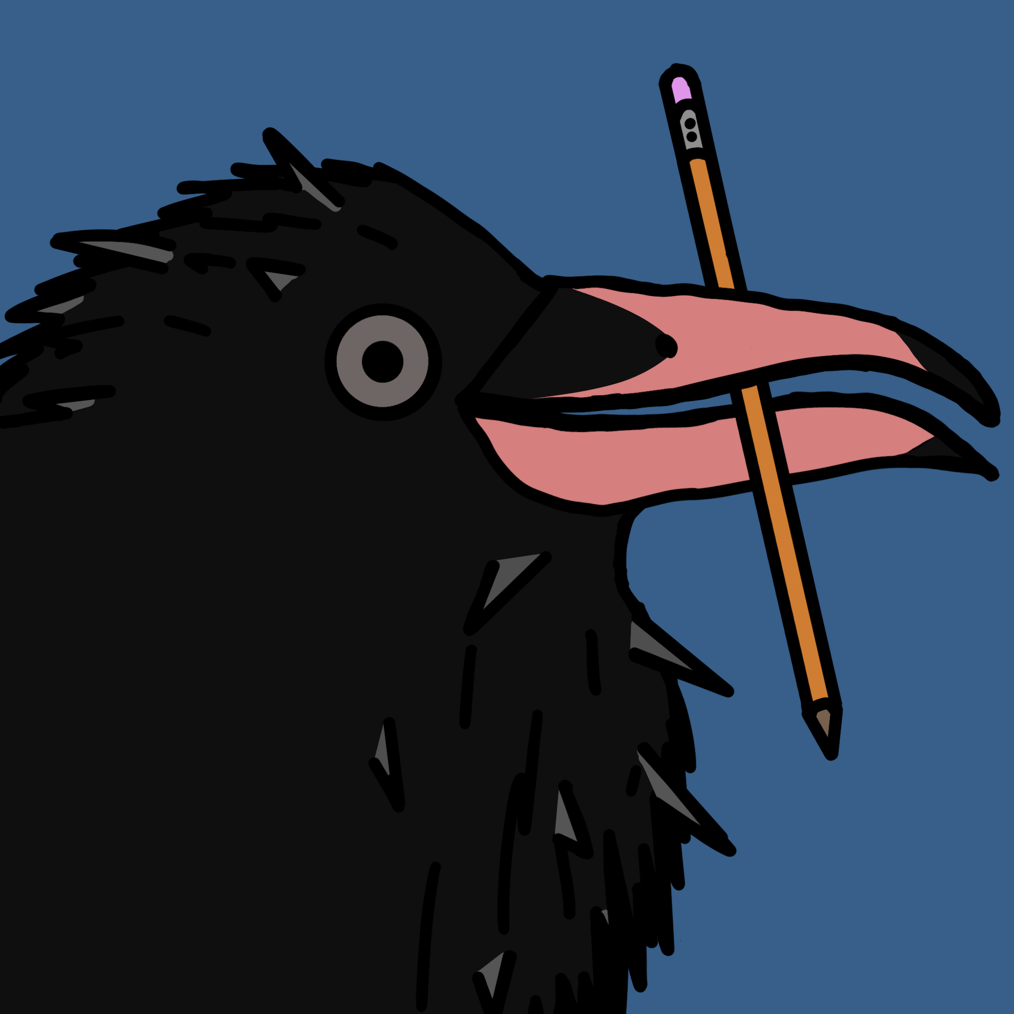 Crow Friends #711