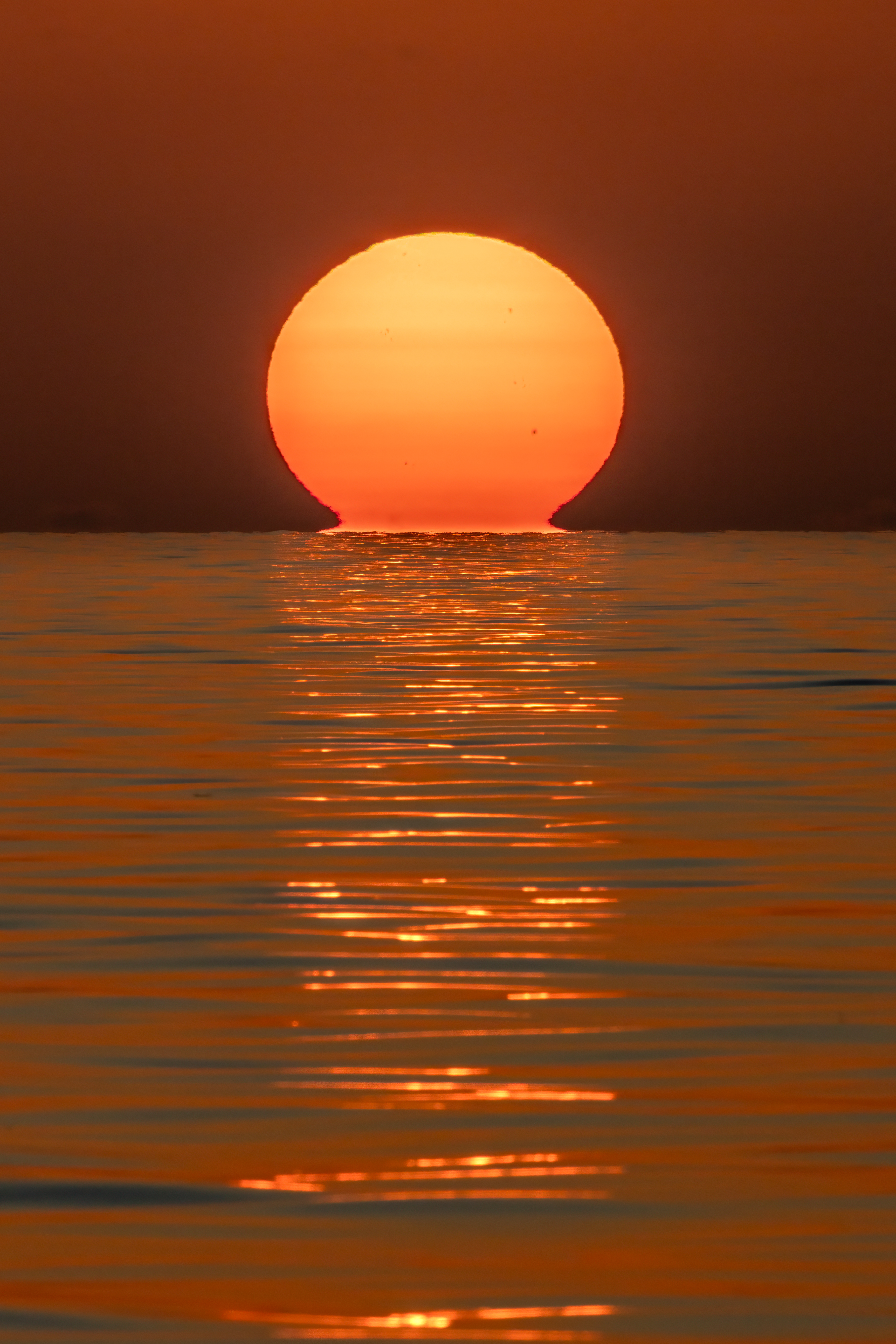 Omega Sun