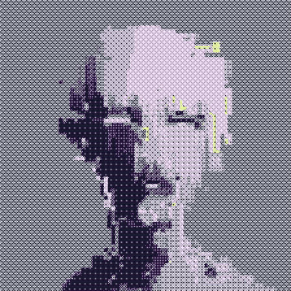 𝔢𝔳𝔞𝔡𝔢𝔯 2905