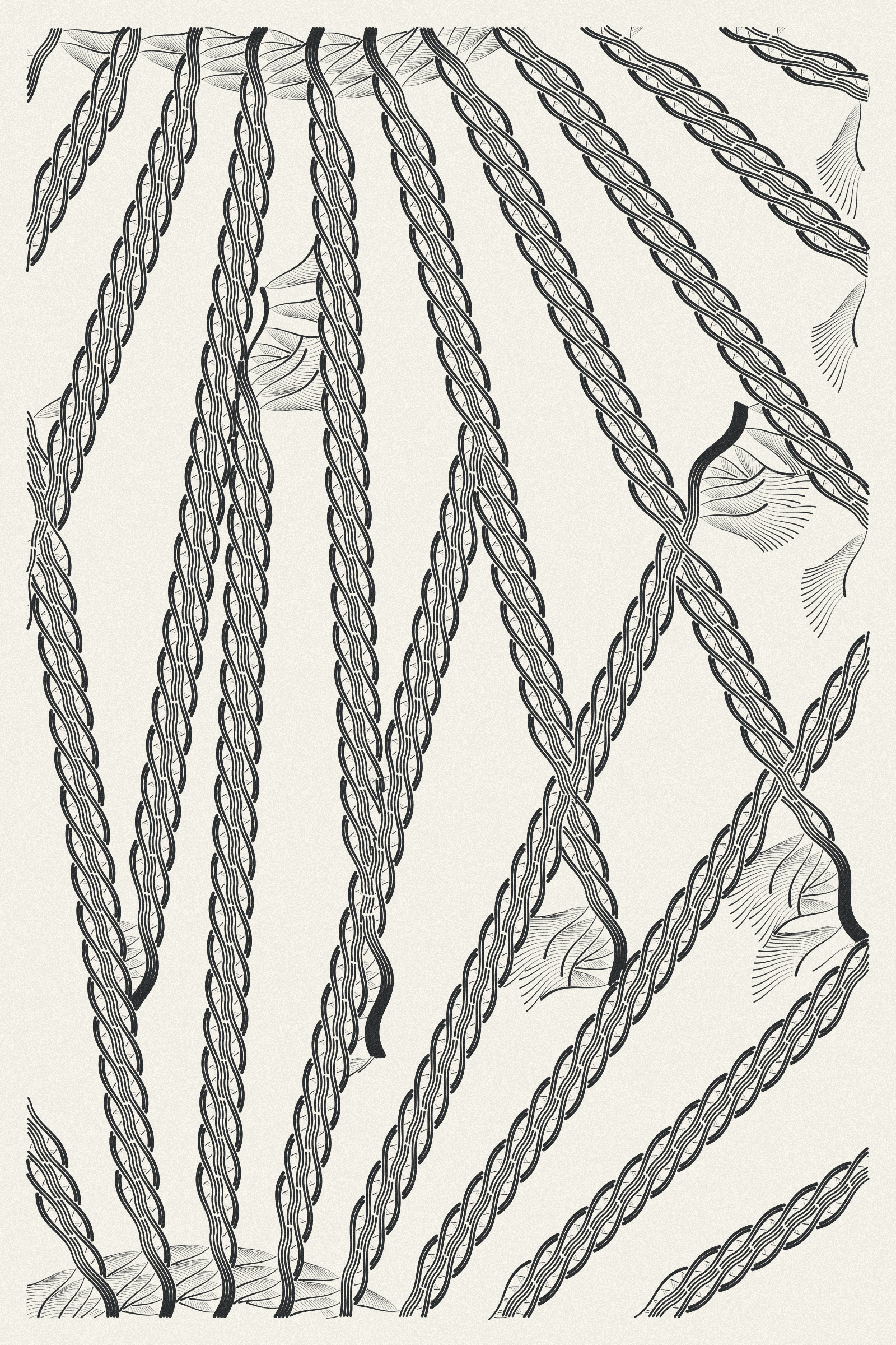Intricada #36