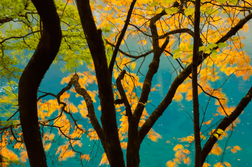 Seasons of Jiuzhaigou #53